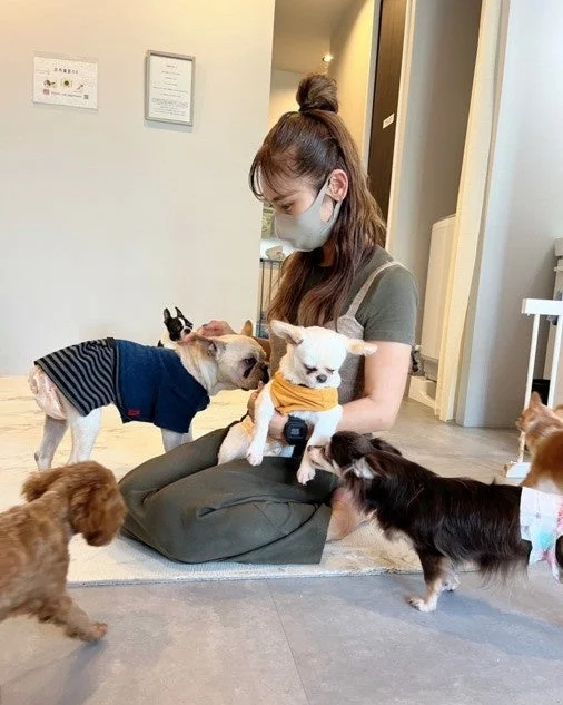 女性と犬の触れ合い