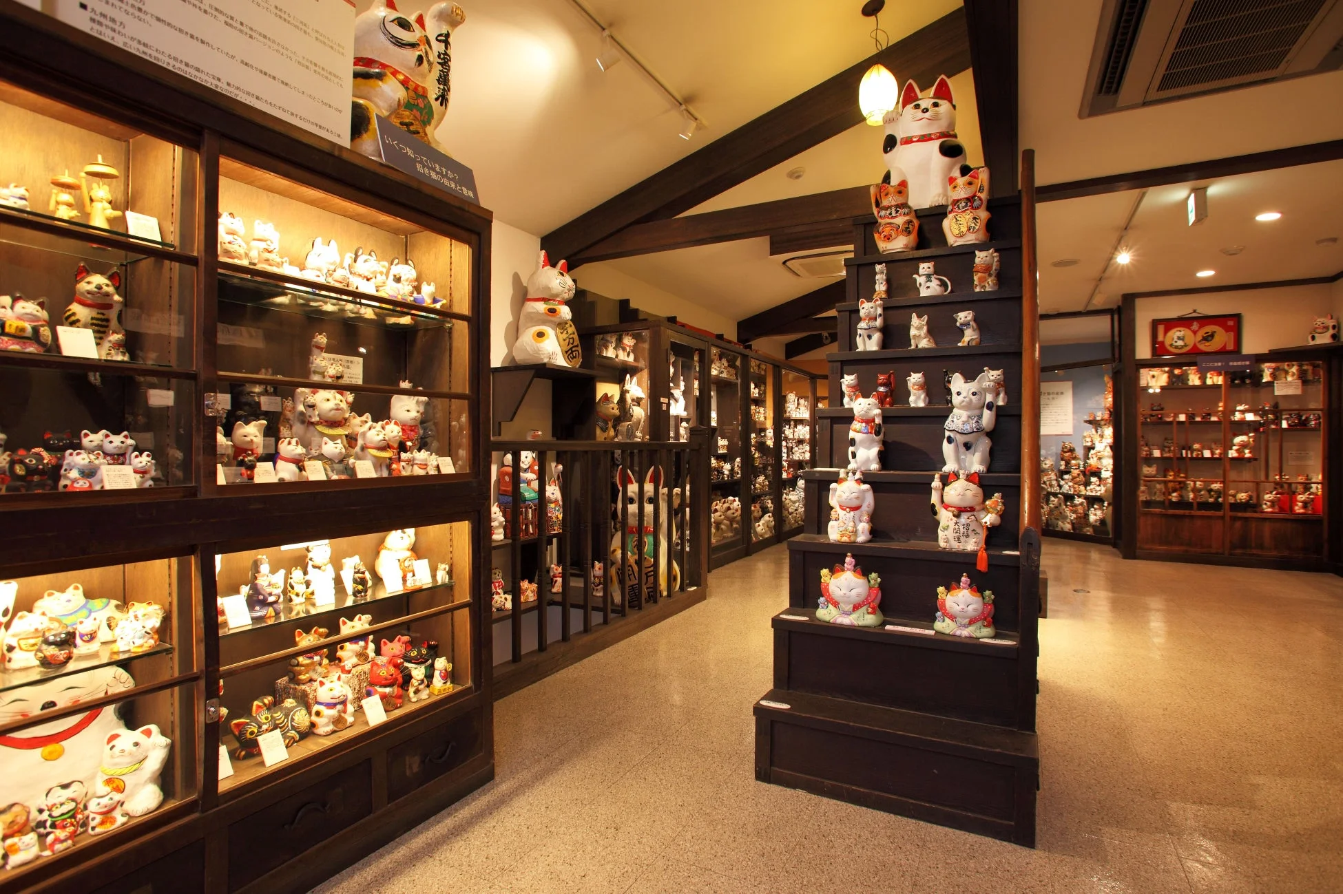 招き猫ミュージアムの展示風景