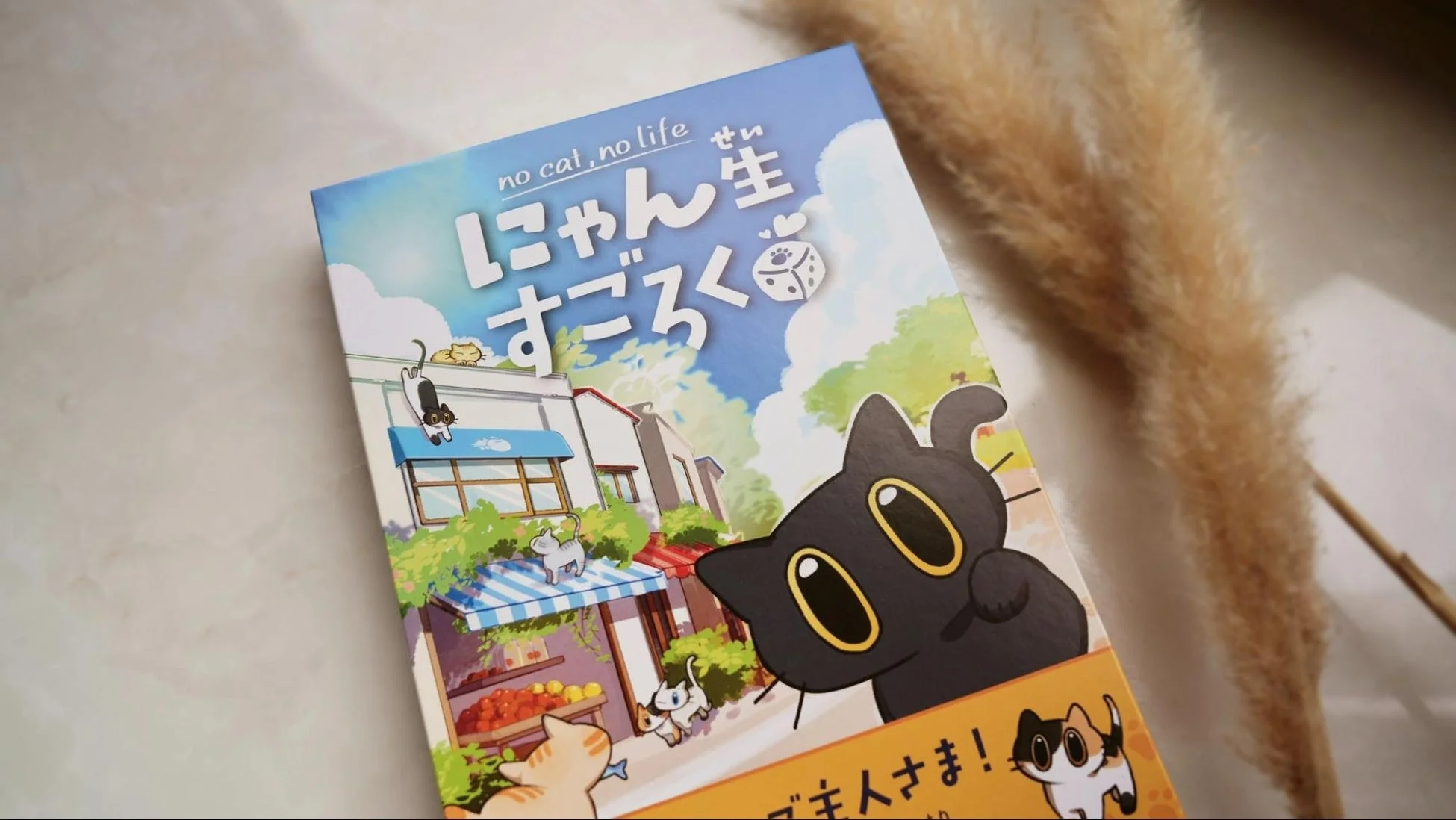 にゃん生すごろくパッケージ