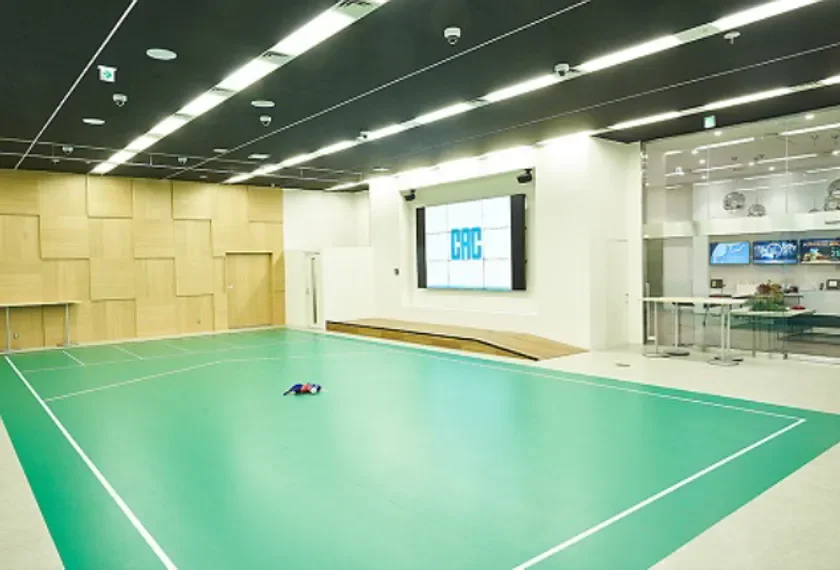 CACボッチャコートの全景