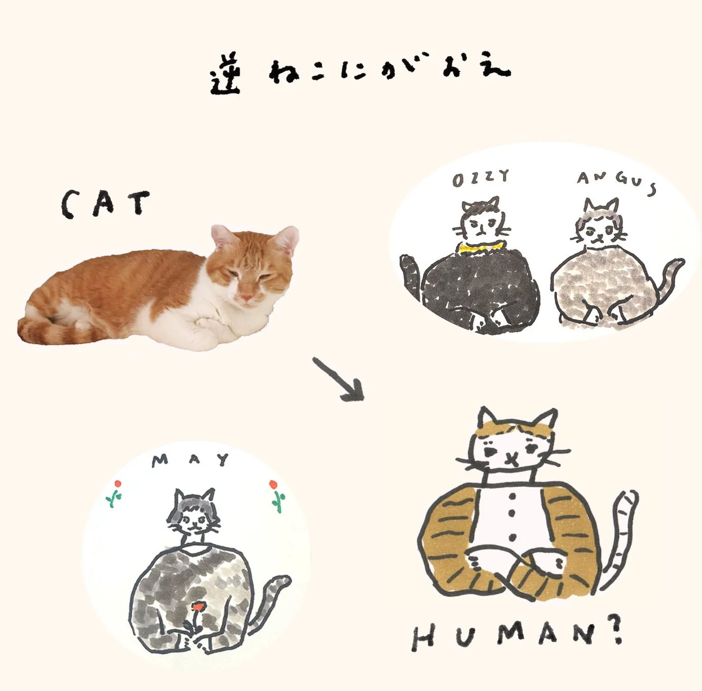山﨑美帆（daborabo）のねこにがおえの例