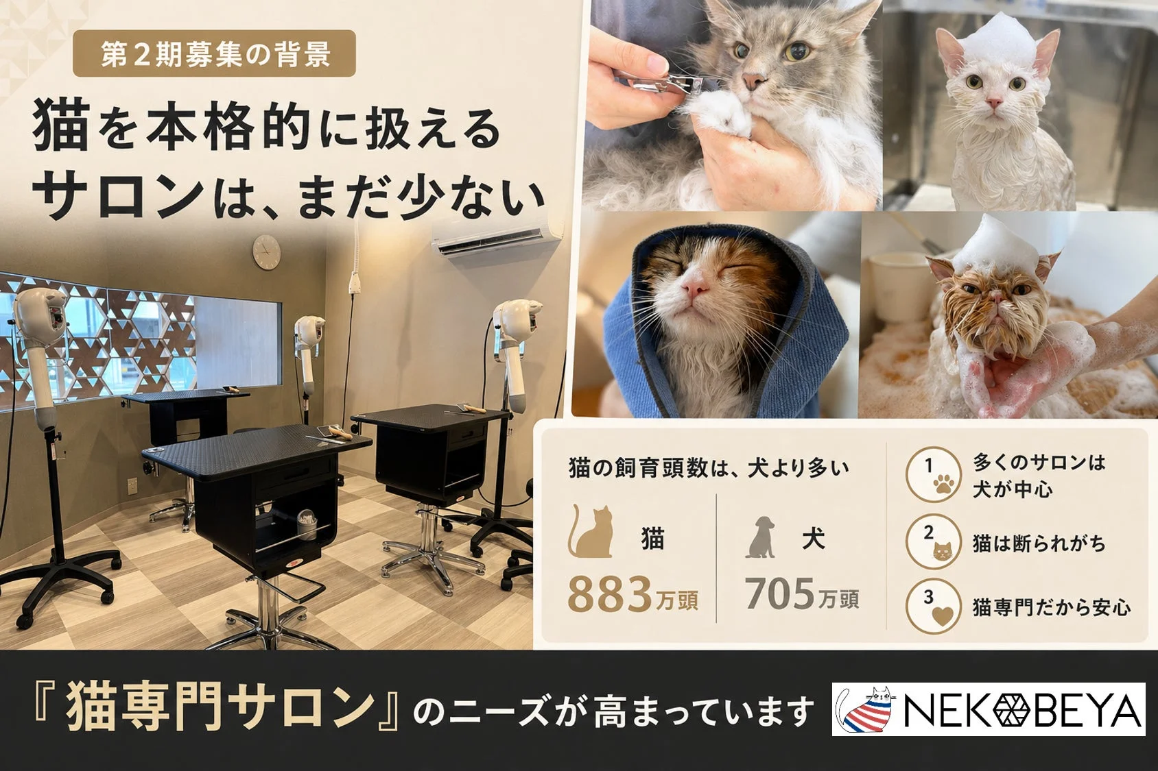 第2期募集の背景