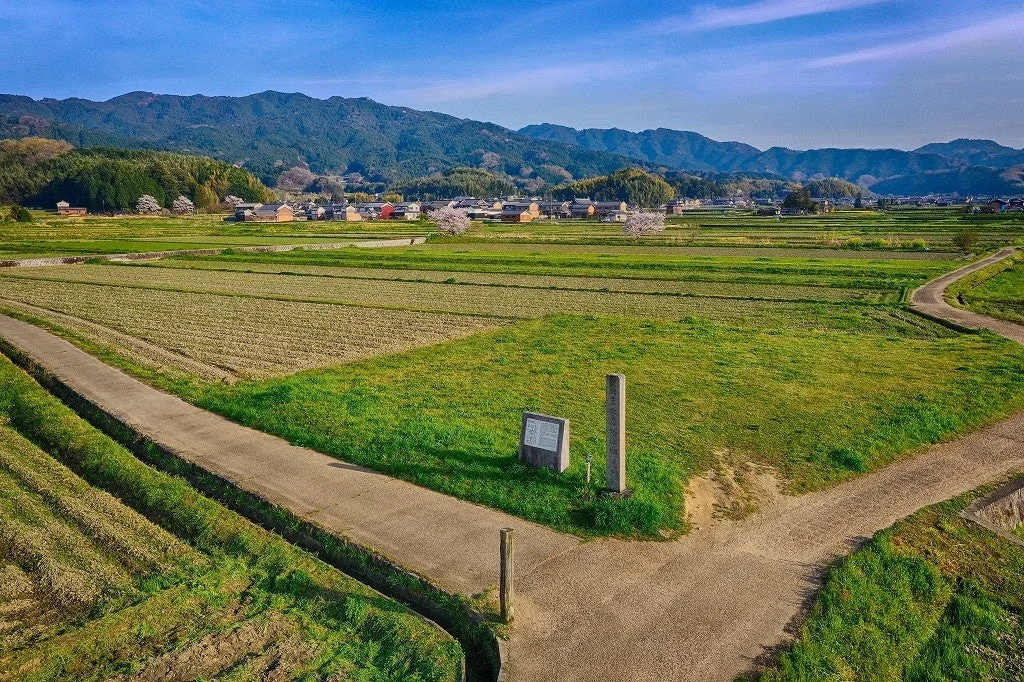 春の青空の下、広がる田園風景と遠くに見える山々が美しい日本の農村の景色
