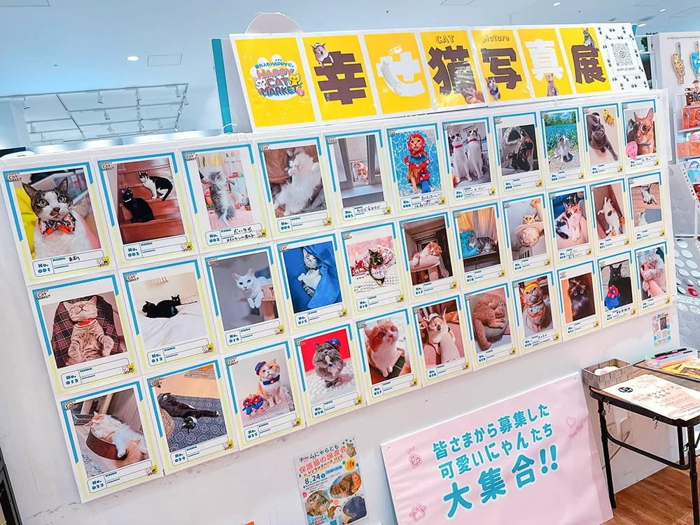 幸せ猫写真展