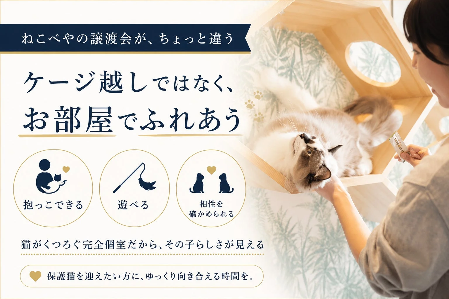 お部屋でふれあう譲渡会の様子