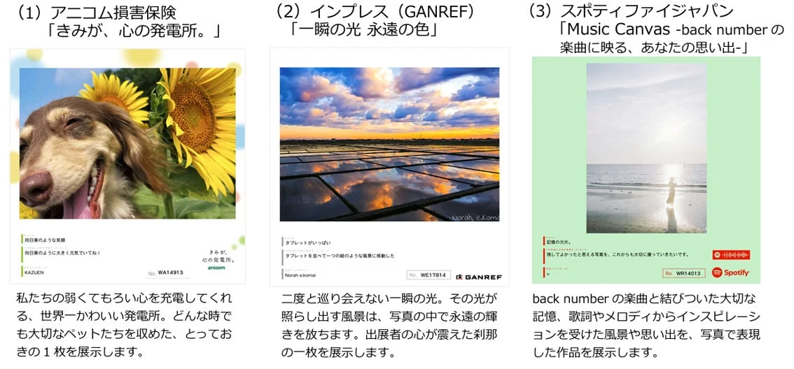 アニコム損害保険の共同企画作品