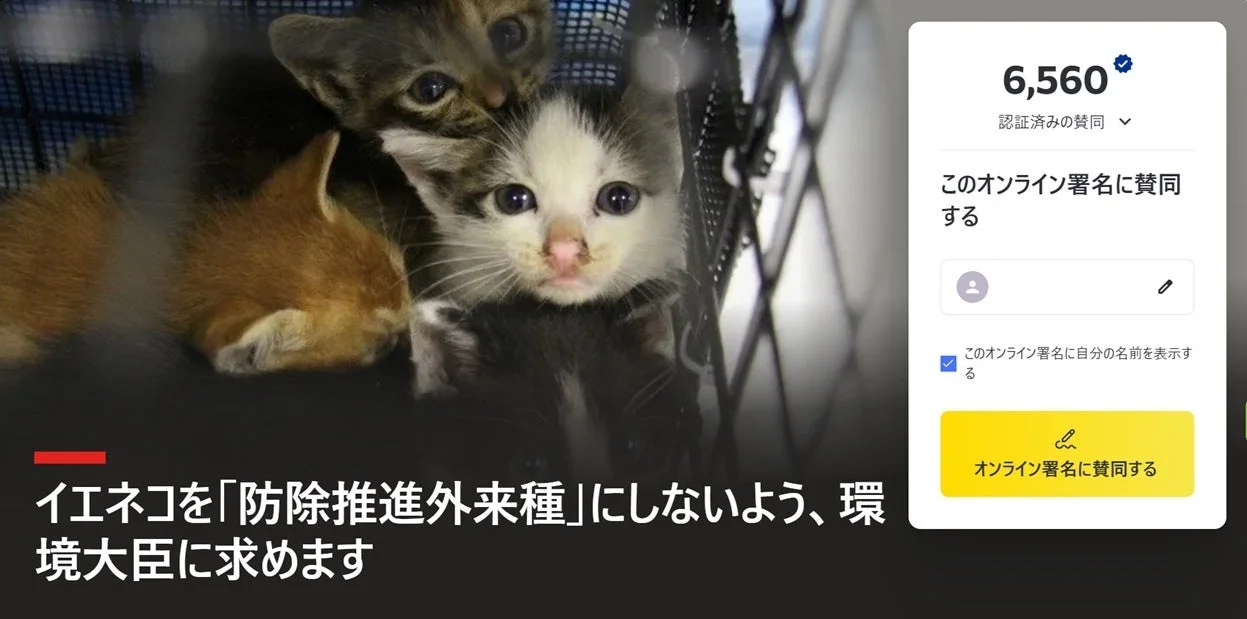 複数の子猫が写っており、環境大臣に対しイエネコを「防除推進外来種」にしないよう求めるオンライン署名活動が示されています。現在6,560人の賛同が集まっています。