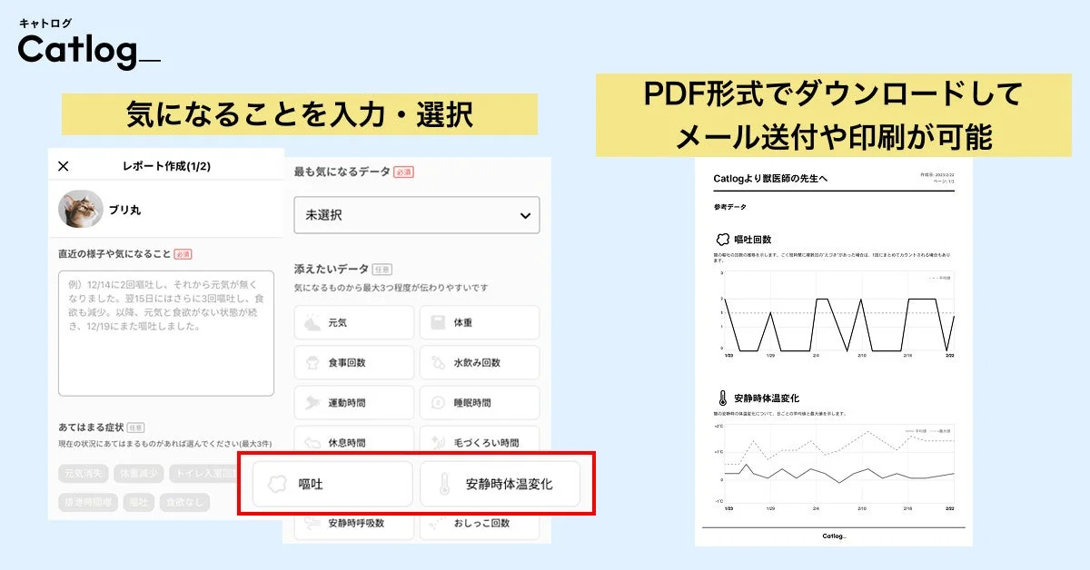 通院レポート