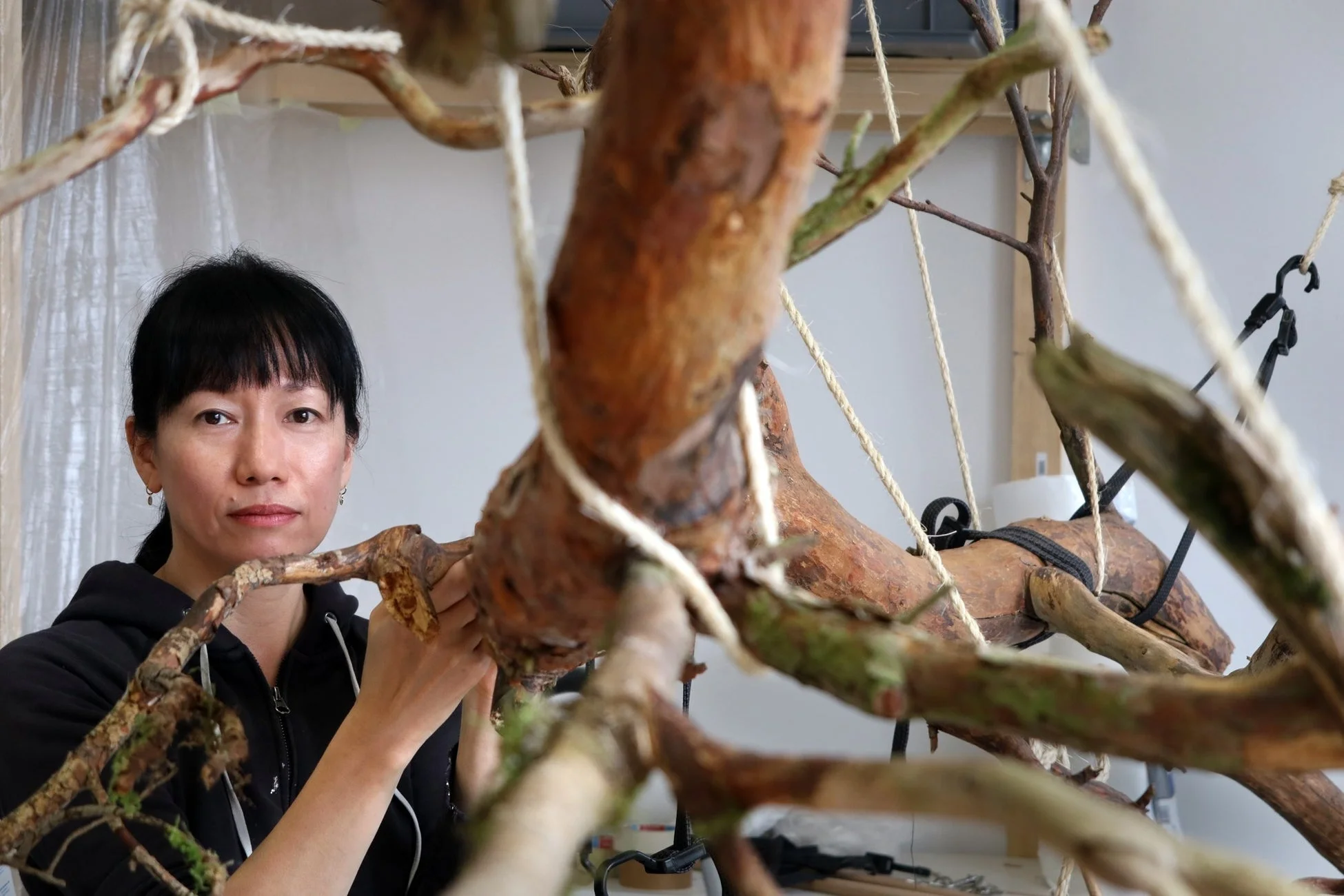 谷山恭子の作品イメージ