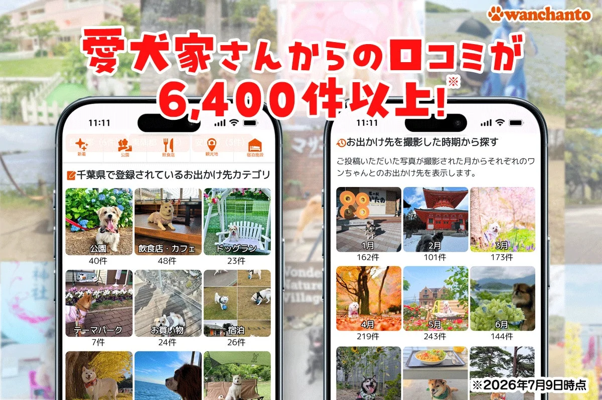 愛犬家さんからの口コミが6,400件以上！