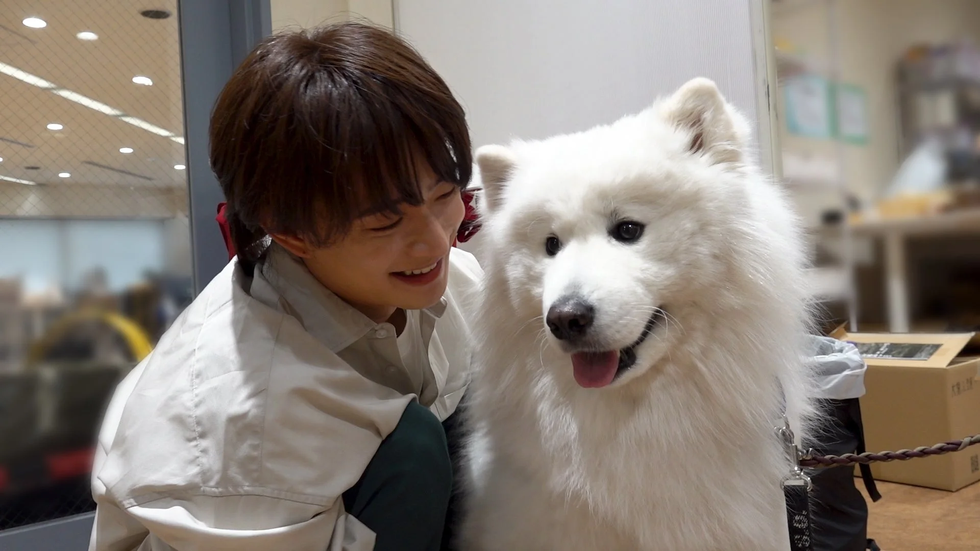 サモエド犬と顔を寄せ合い、笑顔を見せる人物