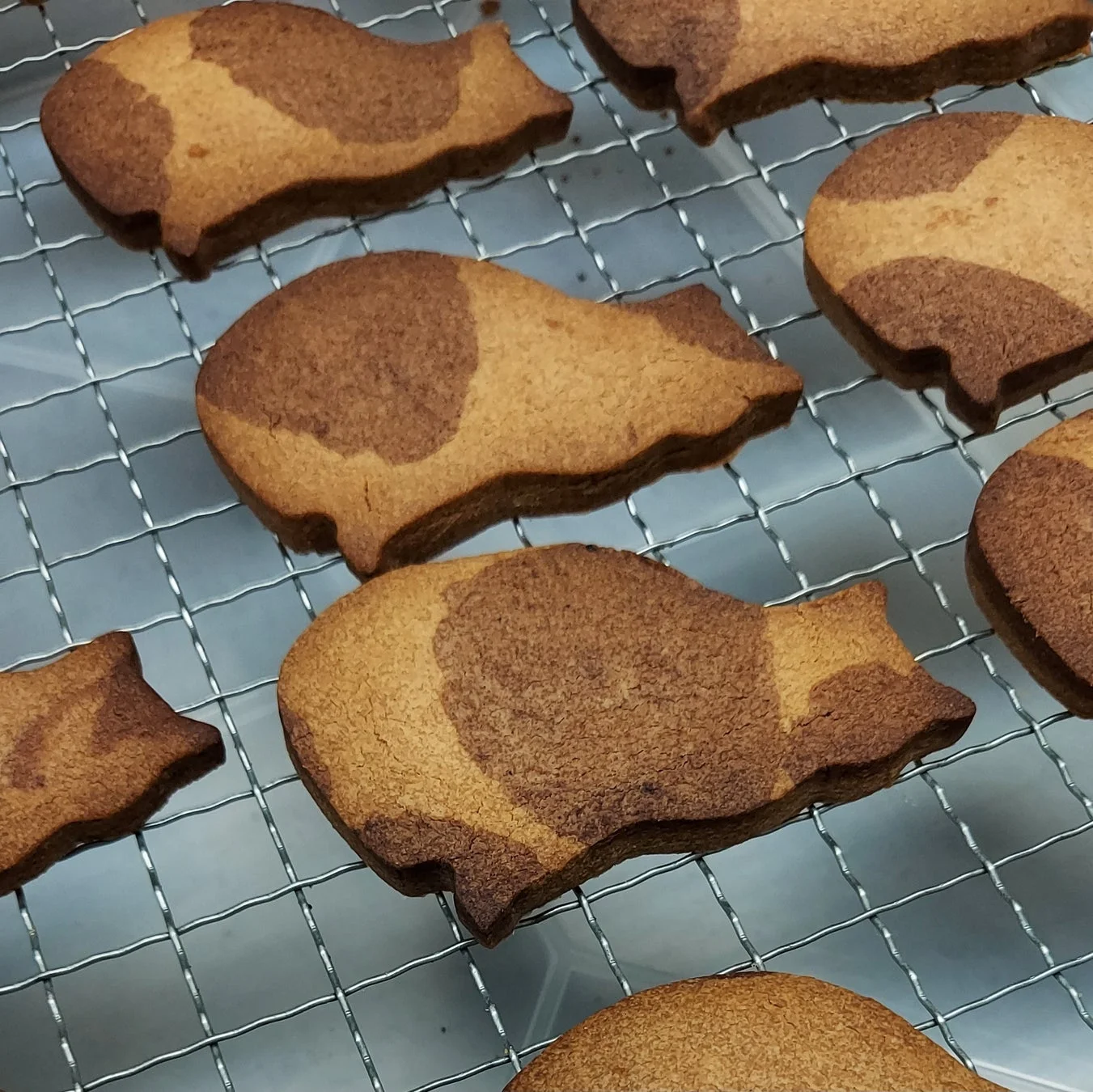 小椋屋の猫型クッキー