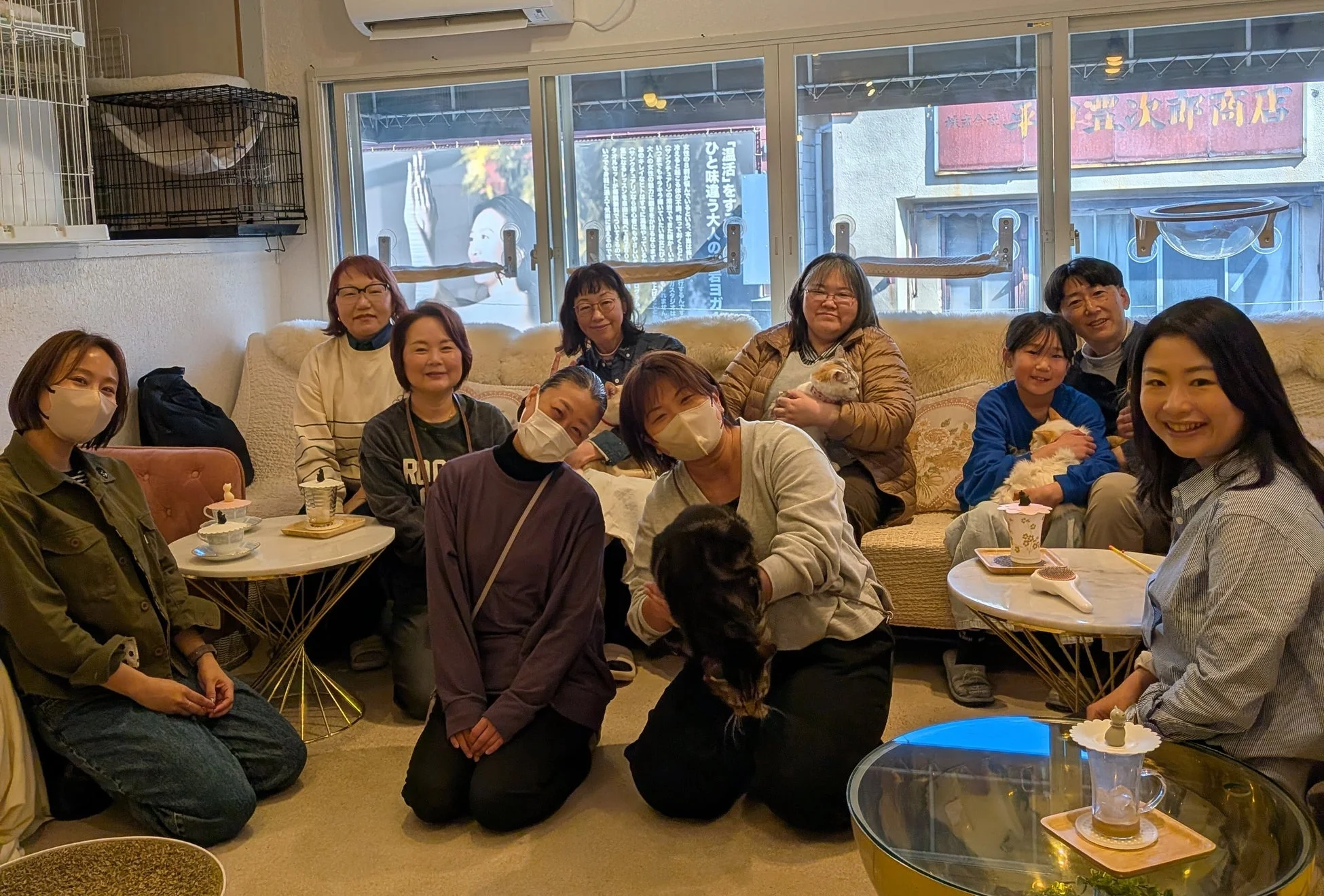 猫カフェで猫と触れ合う人々