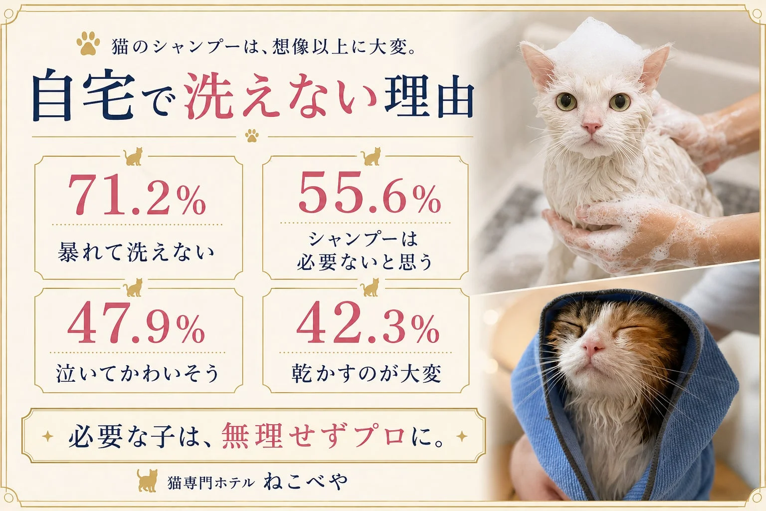 猫のシャンプーは、想像以上に大変。自宅で洗えない理由