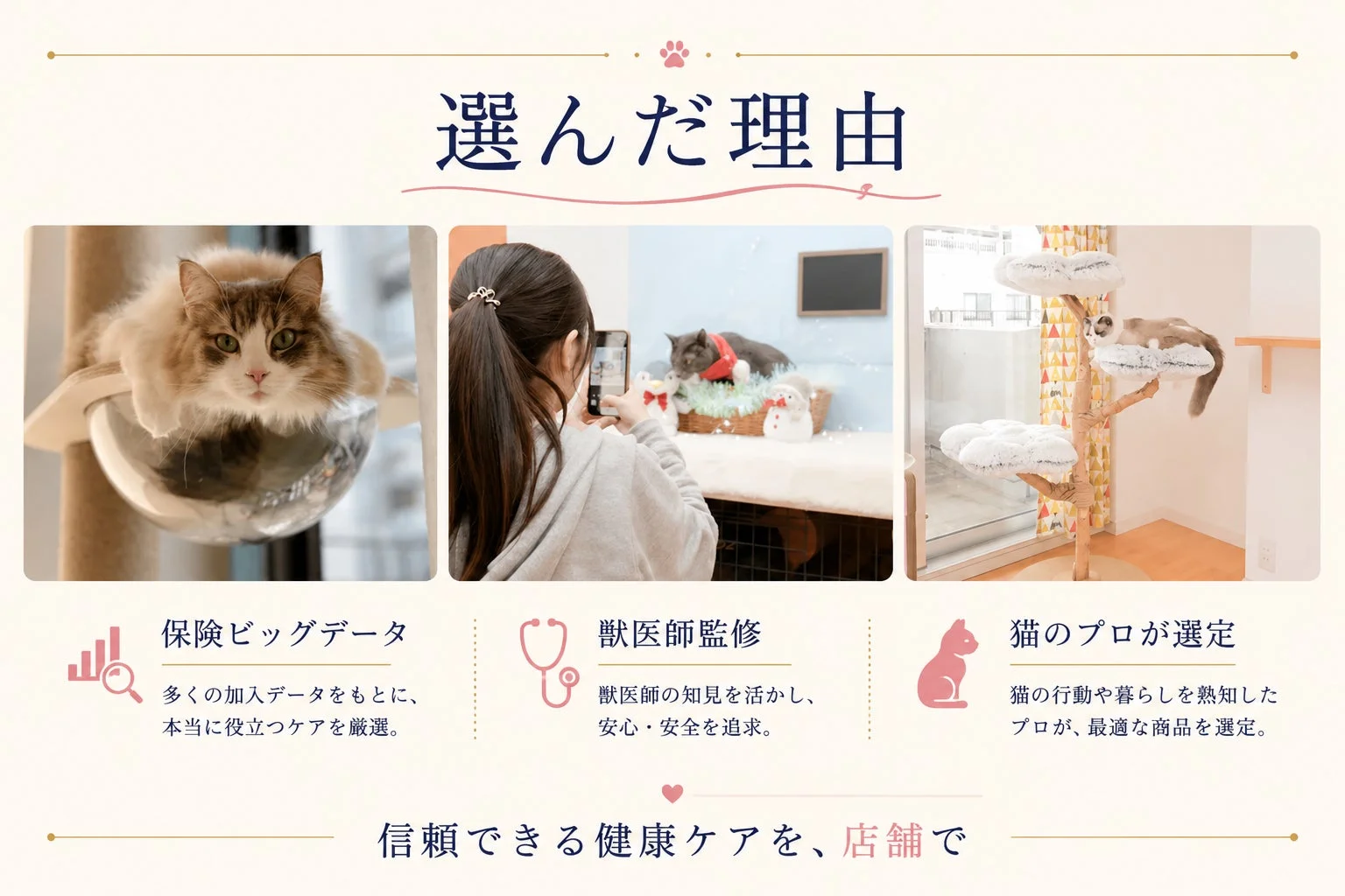 選んだ理由