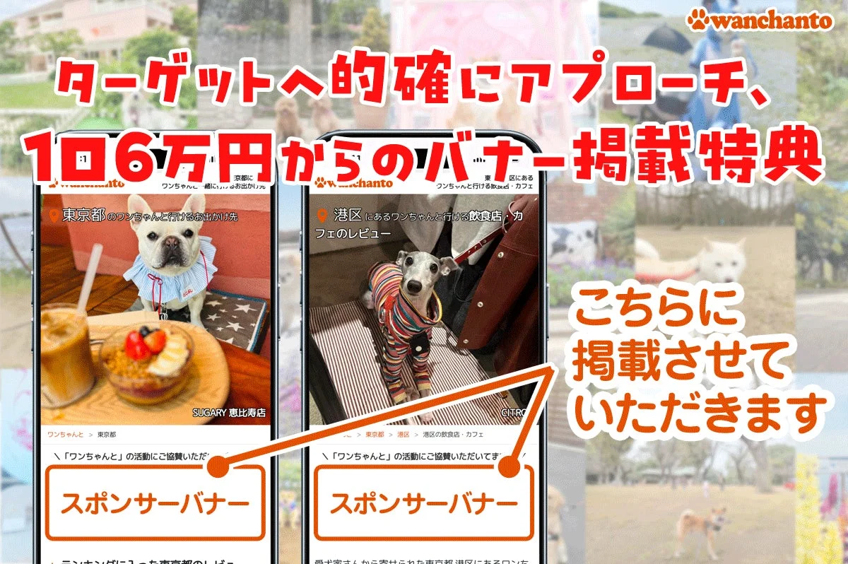ターゲットへ的確にアプローチ、1回6万円からのバナー掲載特典