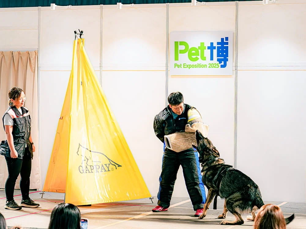 警察犬・救助犬デモンストレーション