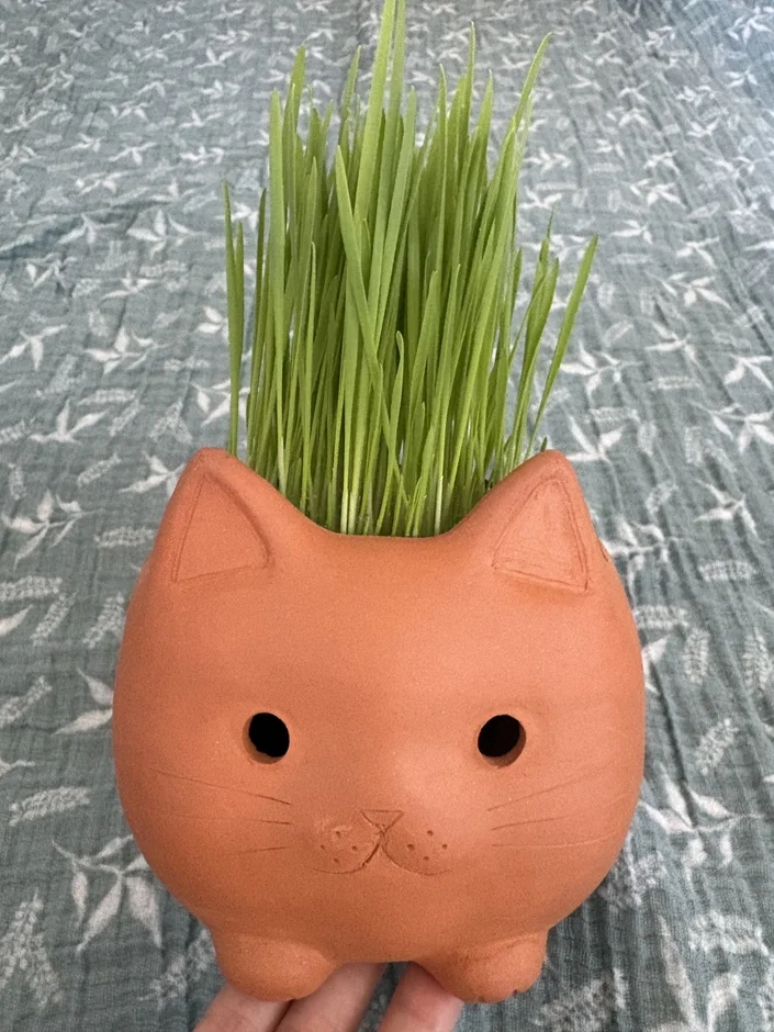 猫の顔の形をした植木鉢に緑の草が生い茂る画像