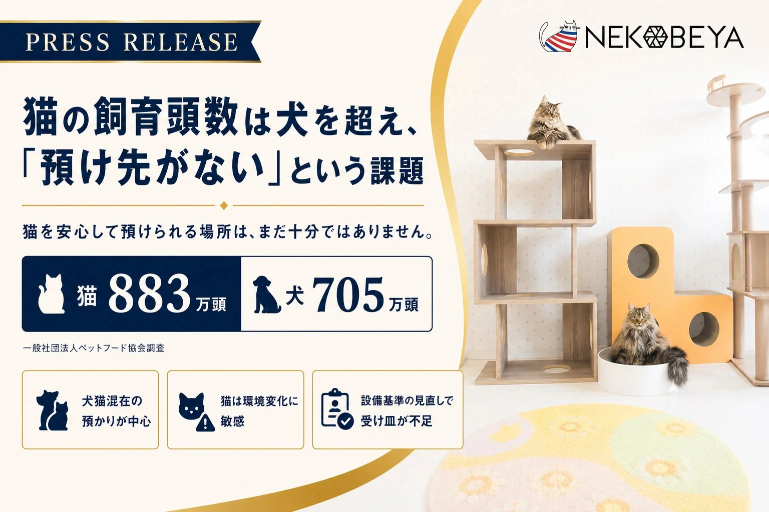 猫の飼育頭数増加と預け先不足の課題