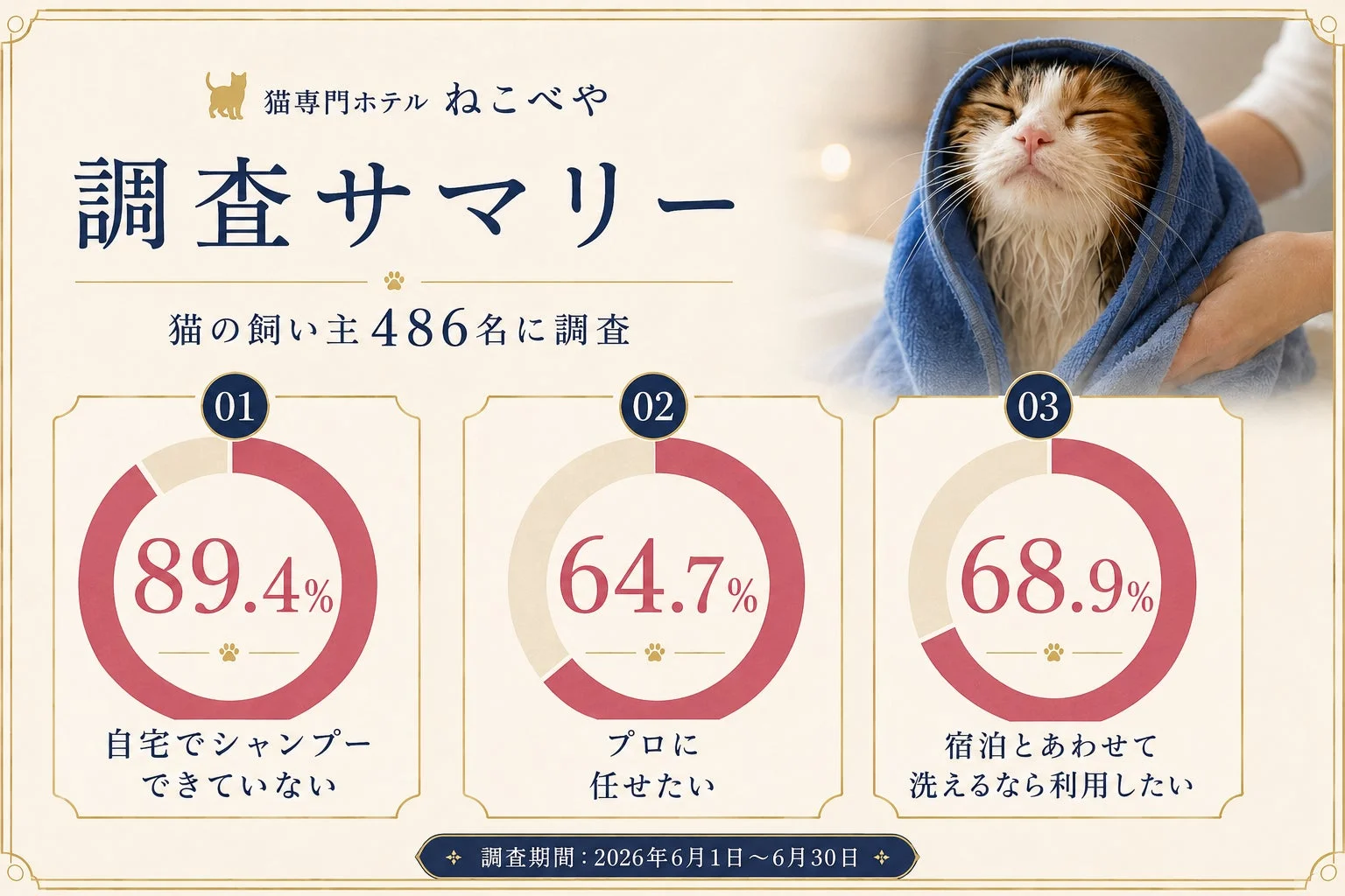 調査サマリー