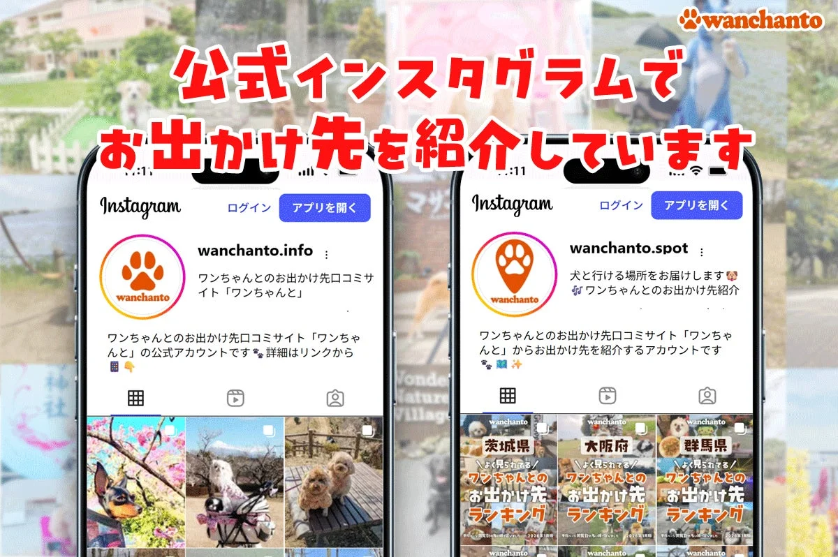 公式インスタグラムでお出かけ先を紹介しています