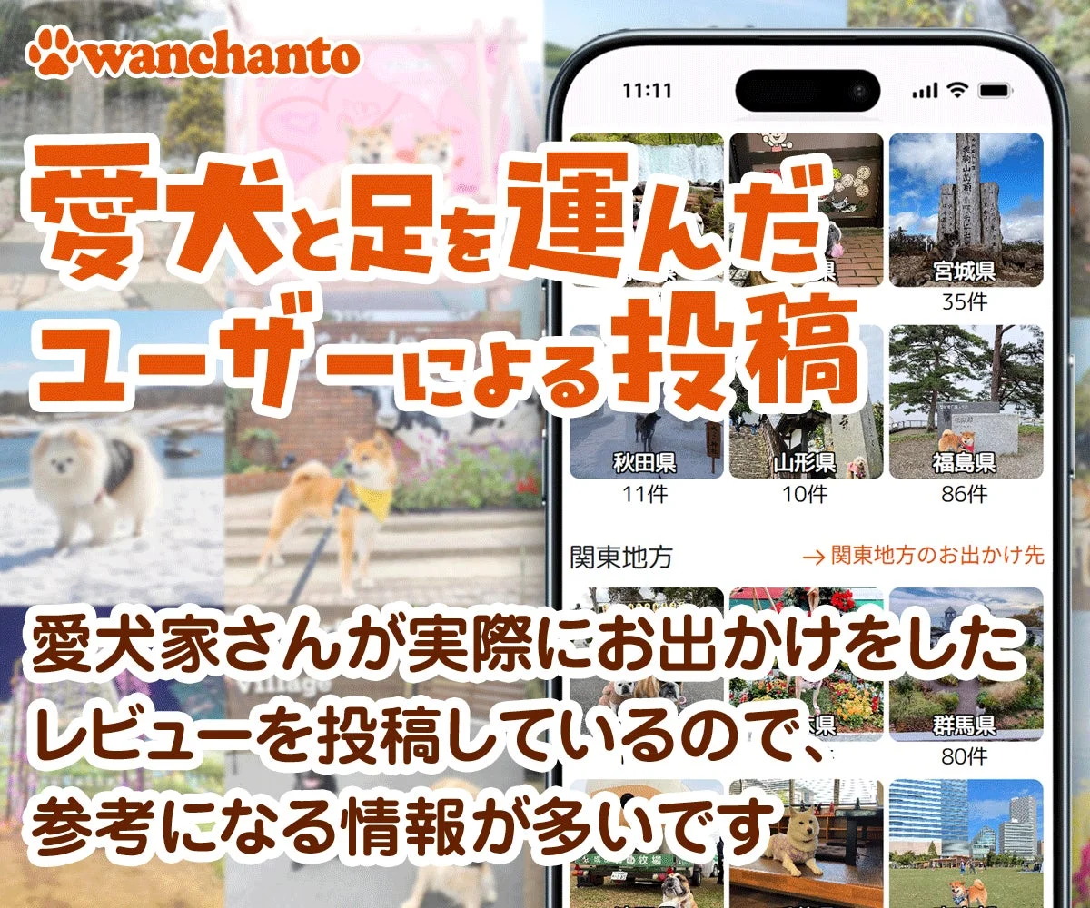 愛犬と足を運んだユーザーによる投稿