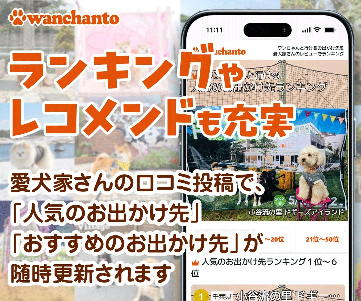 ランキング レコメンドも充実
