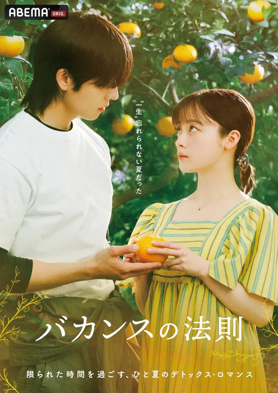 『バカンスの法則』ポスター