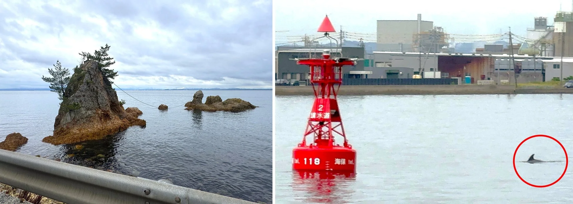 自然,海,岩,島,風景,航路標識,ブイ,イルカ,産業施設,水辺,日本