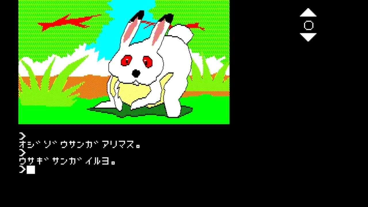 ウサギとの出会い