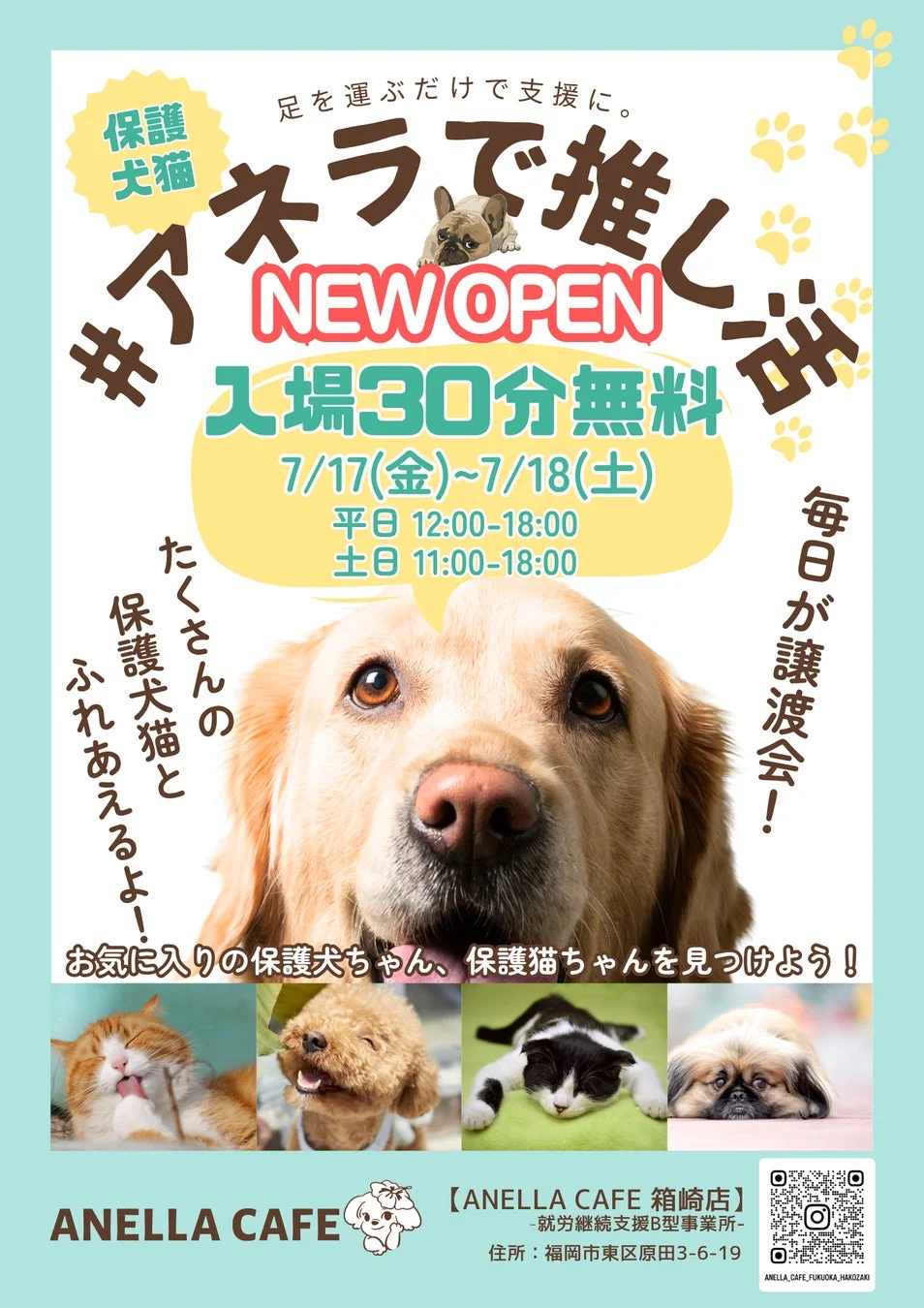 オープンキャンペーン告知ポスター