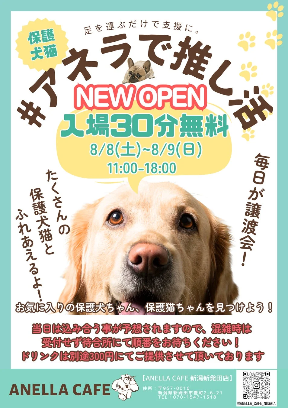ANELLA CAFE 新潟新発田店オープニングキャンペーンポスター