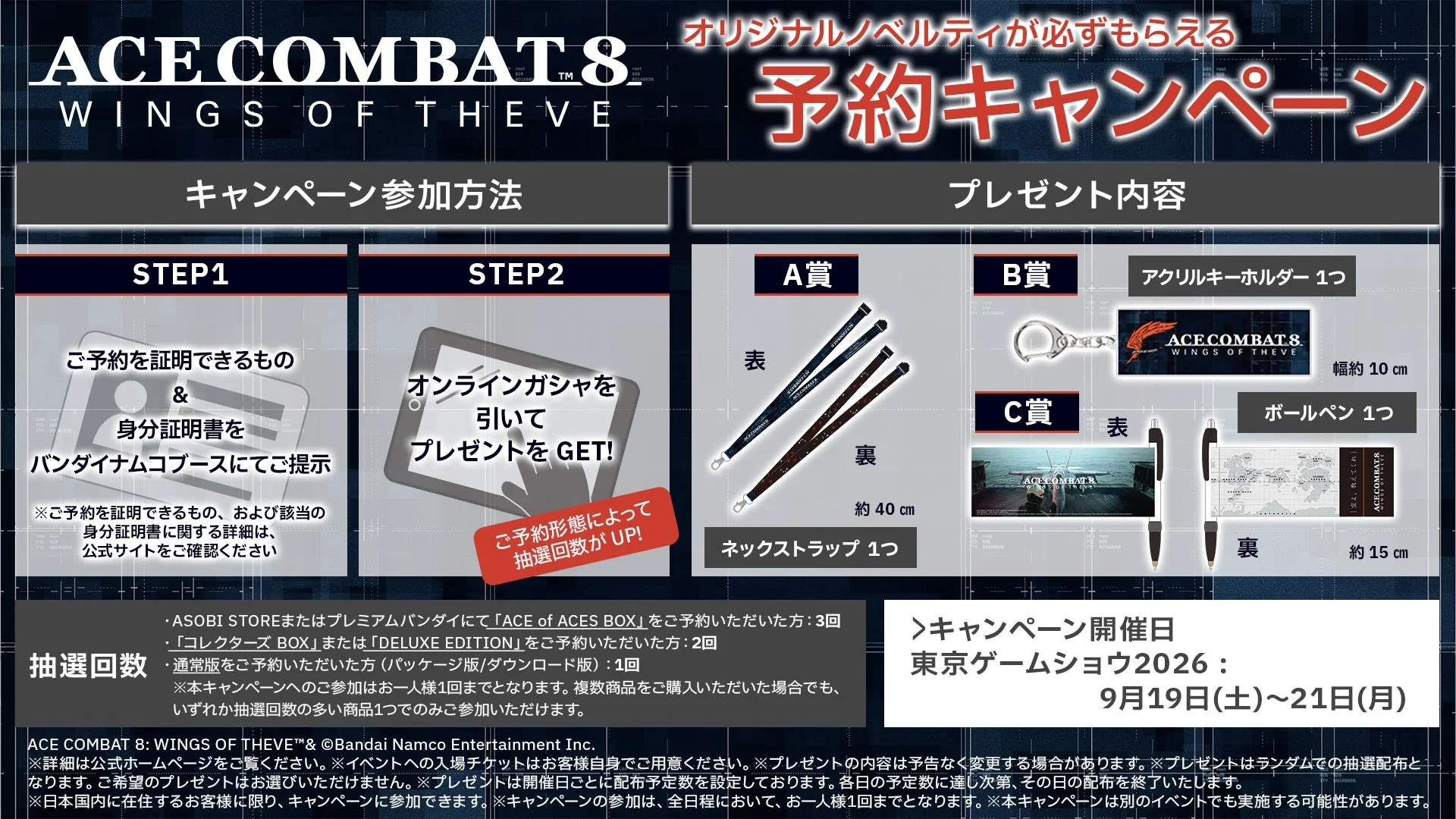 ACE COMBAT 8: WINGS OF THEVE 予約キャンペーン