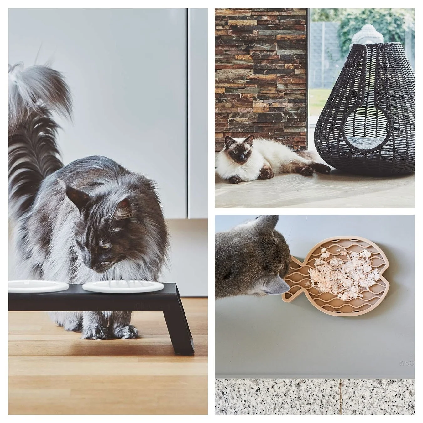 フィーダーで食事をする猫、おしゃれなキャットベッドの横でくつろぐ猫、高台の器を使う猫など、複数の猫たちの食事風景やリラックスした日常を捉えたコラージュ写真。