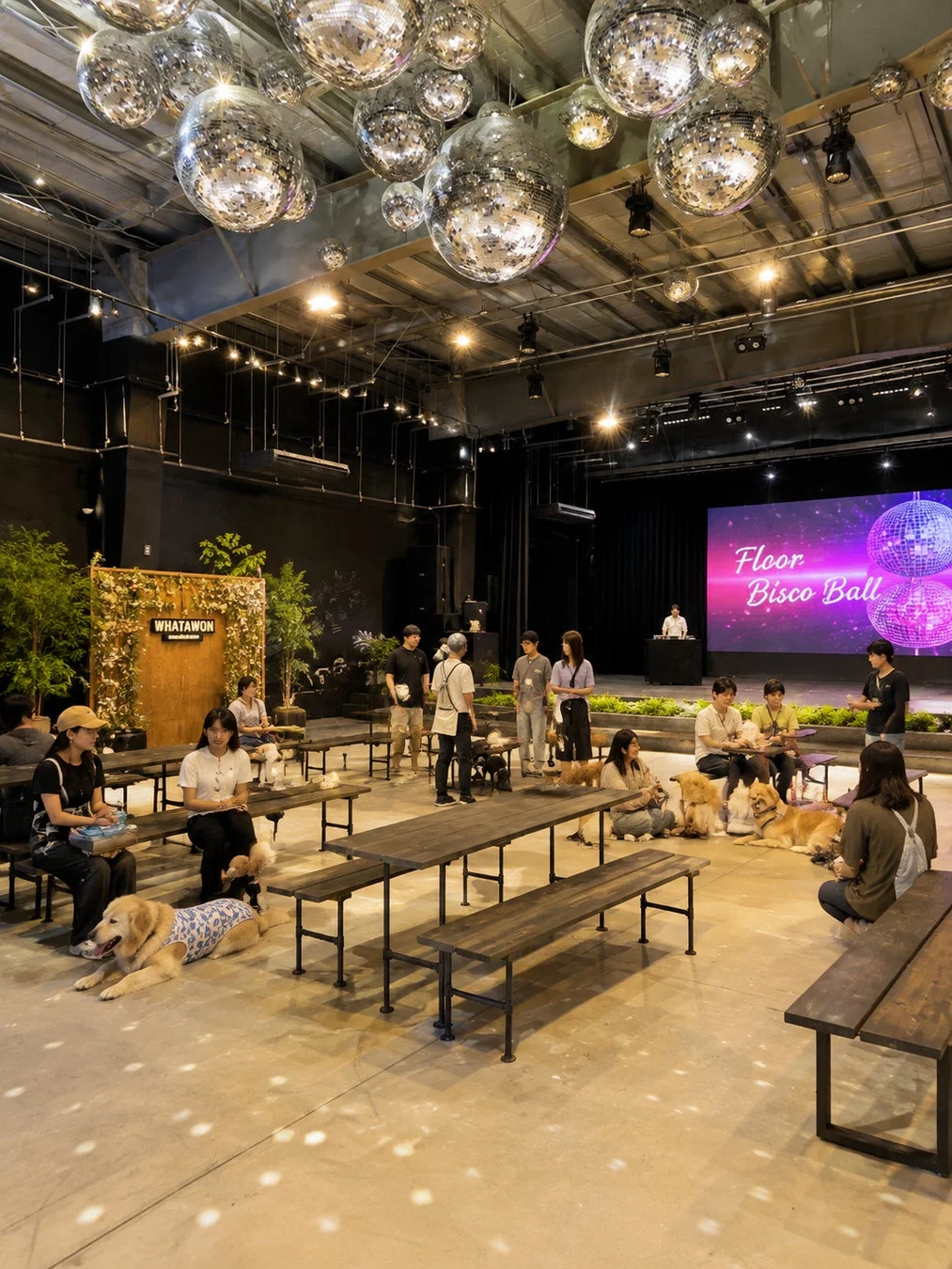 天井にディスコボールが多数飾られた屋内イベントスペースで、人々が愛犬と共に木製のテーブルやベンチでくつろいでいます。