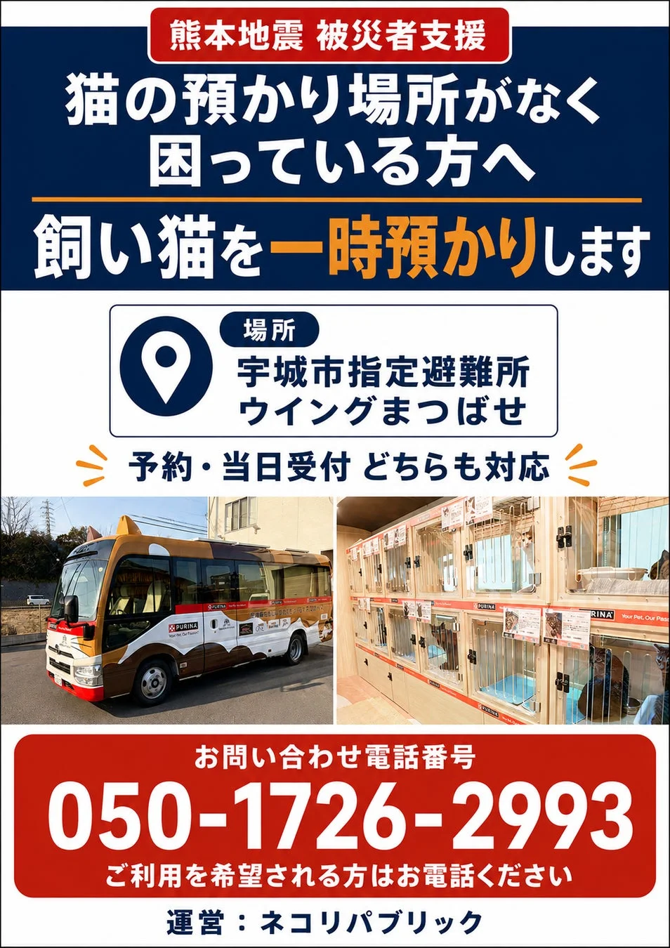 熊本地震 被災者支援 猫の一時預かり