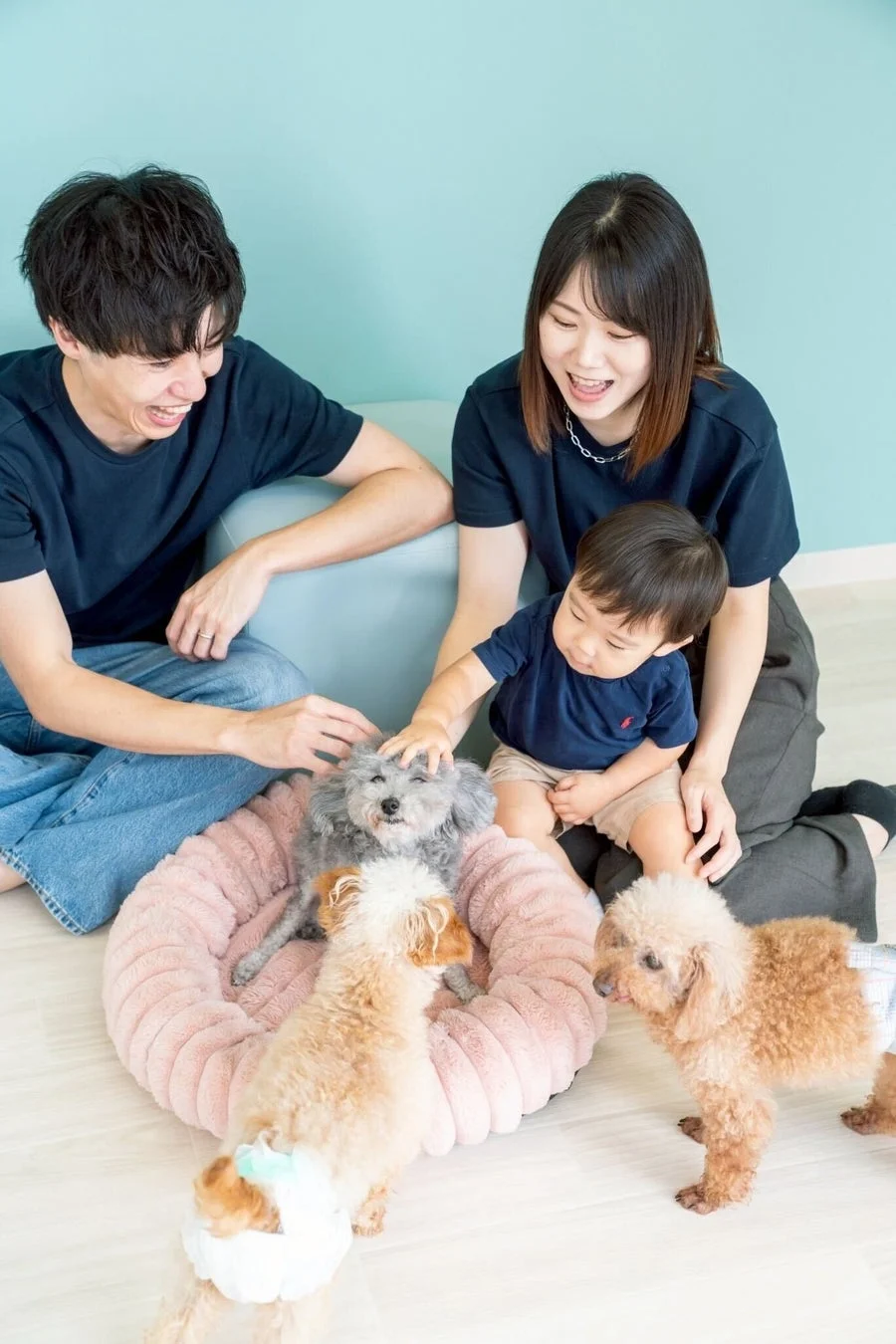 家族と犬が触れ合っている様子