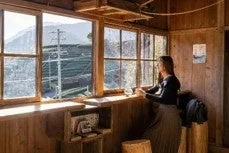 窓から茶畑を眺める女性
