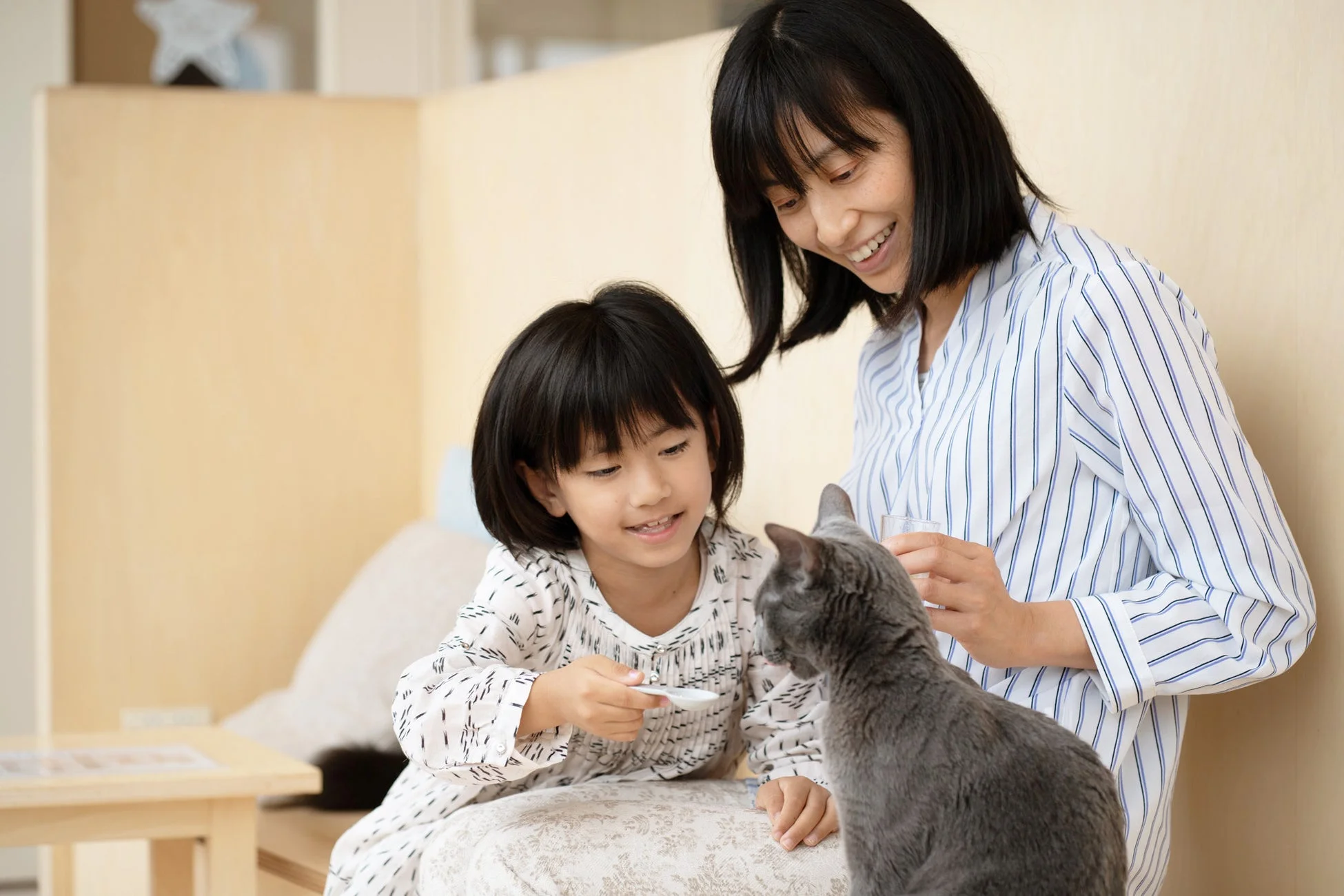 家族と猫