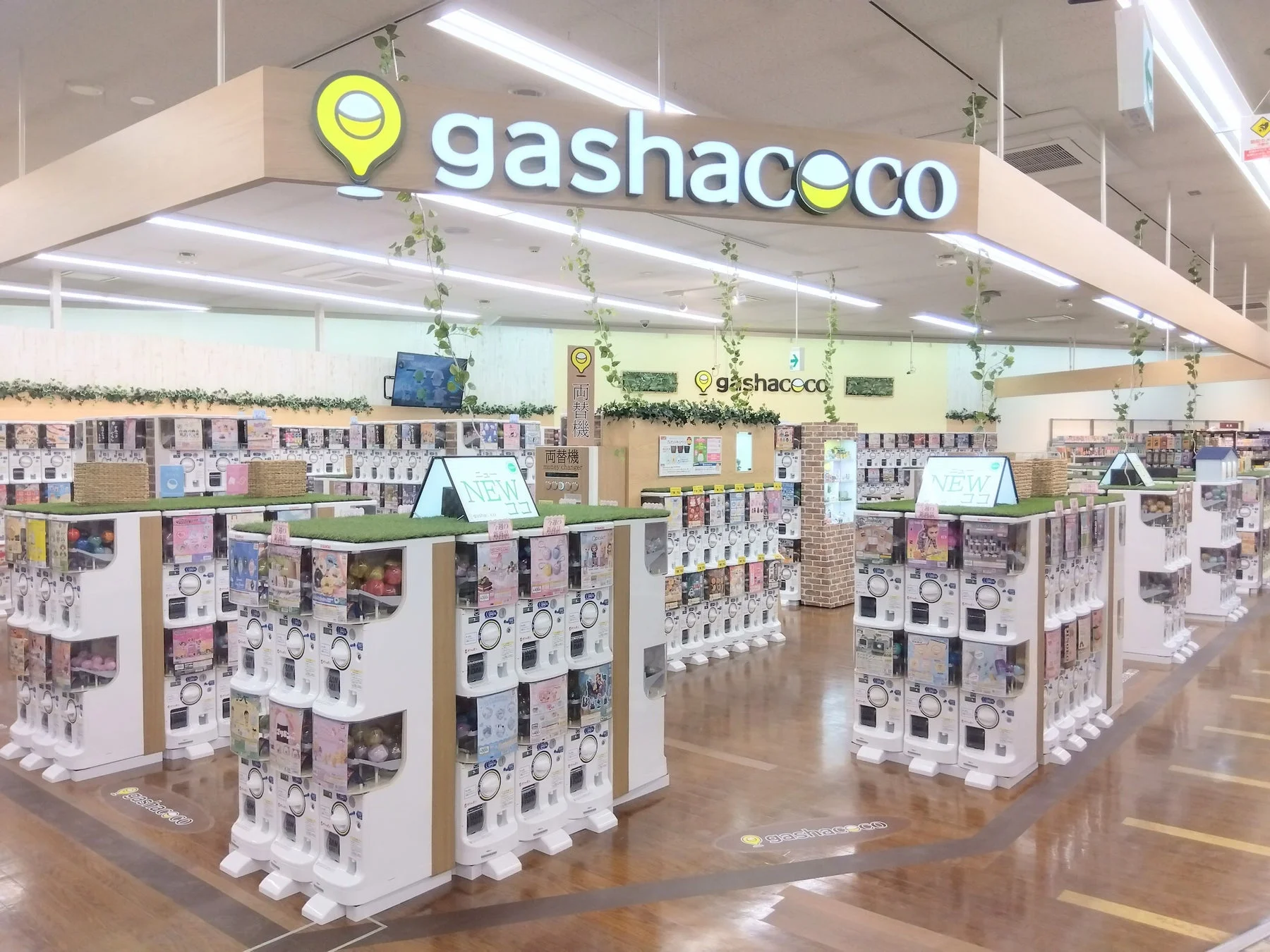 gashacoco店内の様子