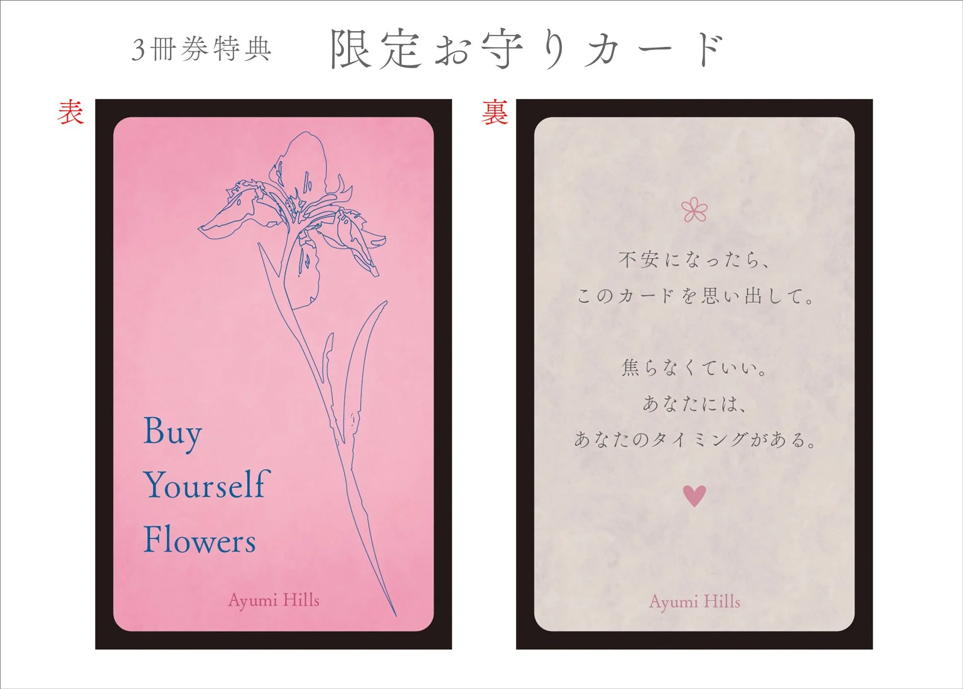 限定お守りカード