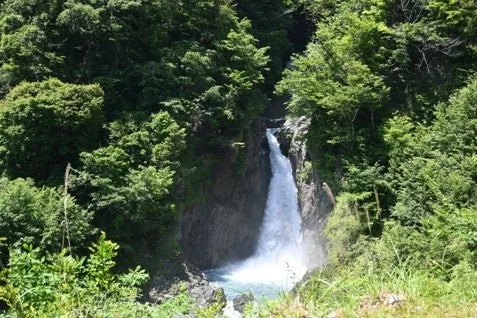 緑豊かな森林の中を流れる赤水の滝
