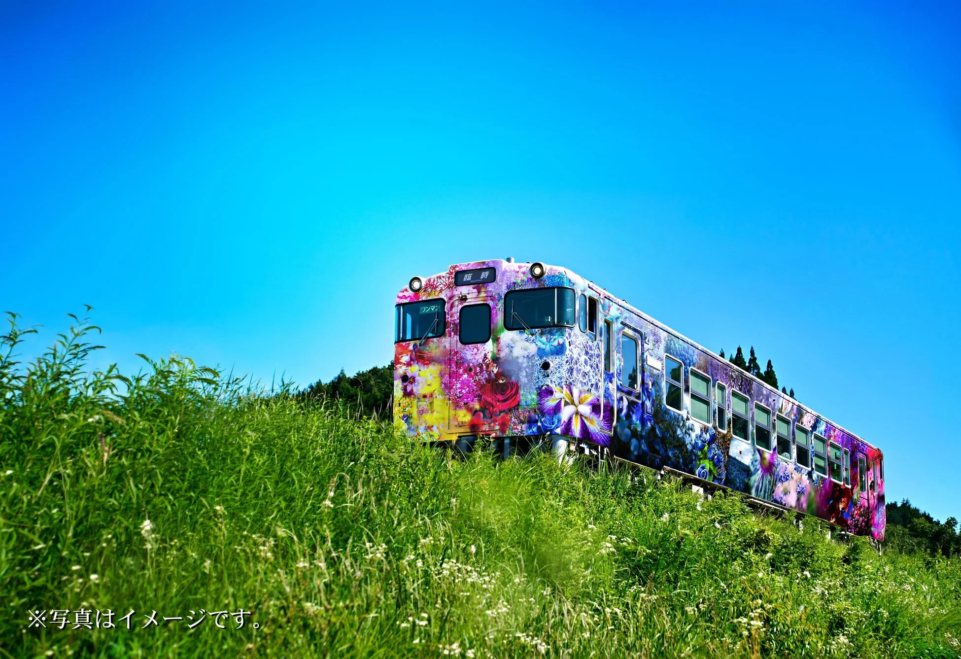鮮やかな花柄でラッピングされた列車が、青空と緑豊かな草むらを背景に走る様子