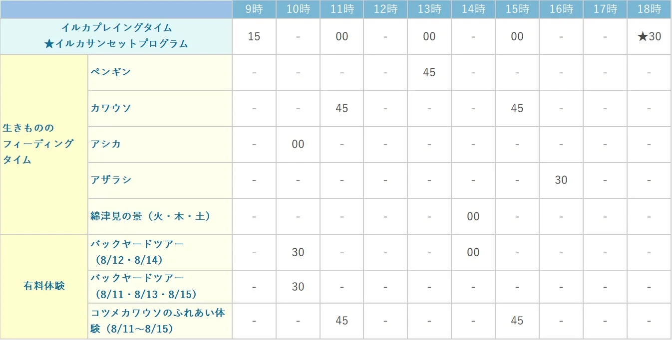 お盆期間中のイルカプレイングタイムとフィーディングタイムのスケジュール