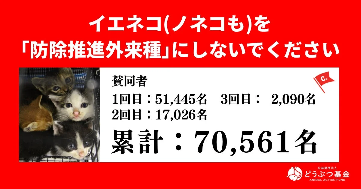 イエネコを防除推進外来種にしないよう求める署名活動の様子