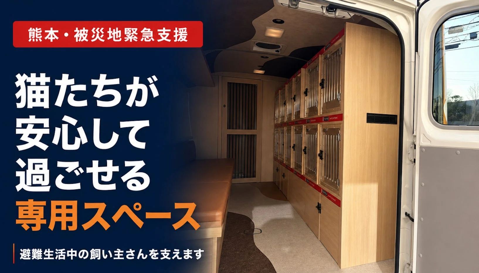 猫たちが安心して過ごせる専用スペース