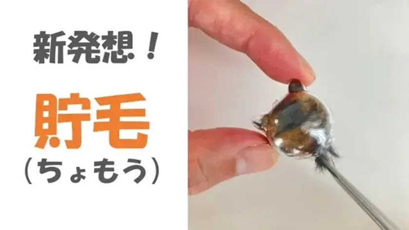 新発想!貯毛(ちょもう)