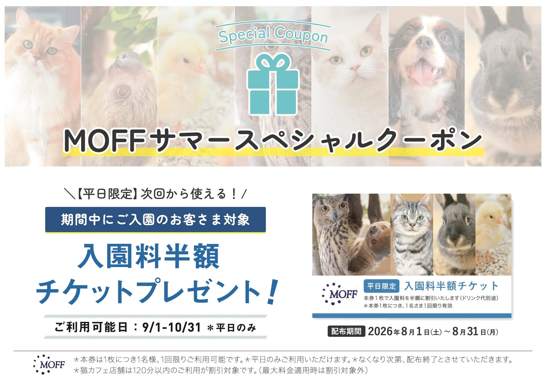 MOFFサマースペシャルクーポン