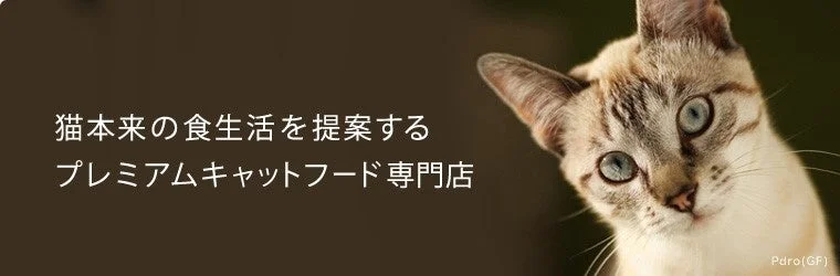 青い目の猫が写っており、左側には「猫本来の食生活を提案するプレミアムキャットフード専門店」というテキストが配置されています。猫の健康的な食事をテーマにした販促画像です。
