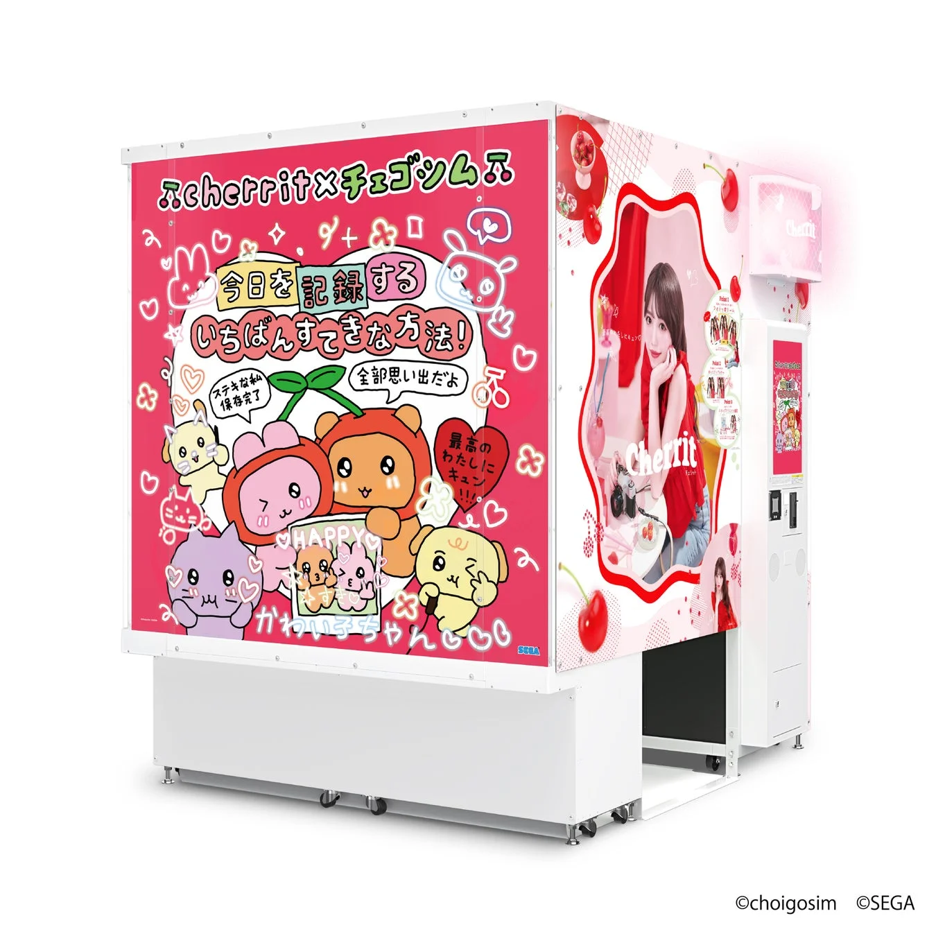 チェゴシムデザインに装飾されたcherrit